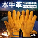 2026-07-03-takibi-glove-osusume